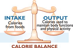 Study Looks at Calories and Weight Gain